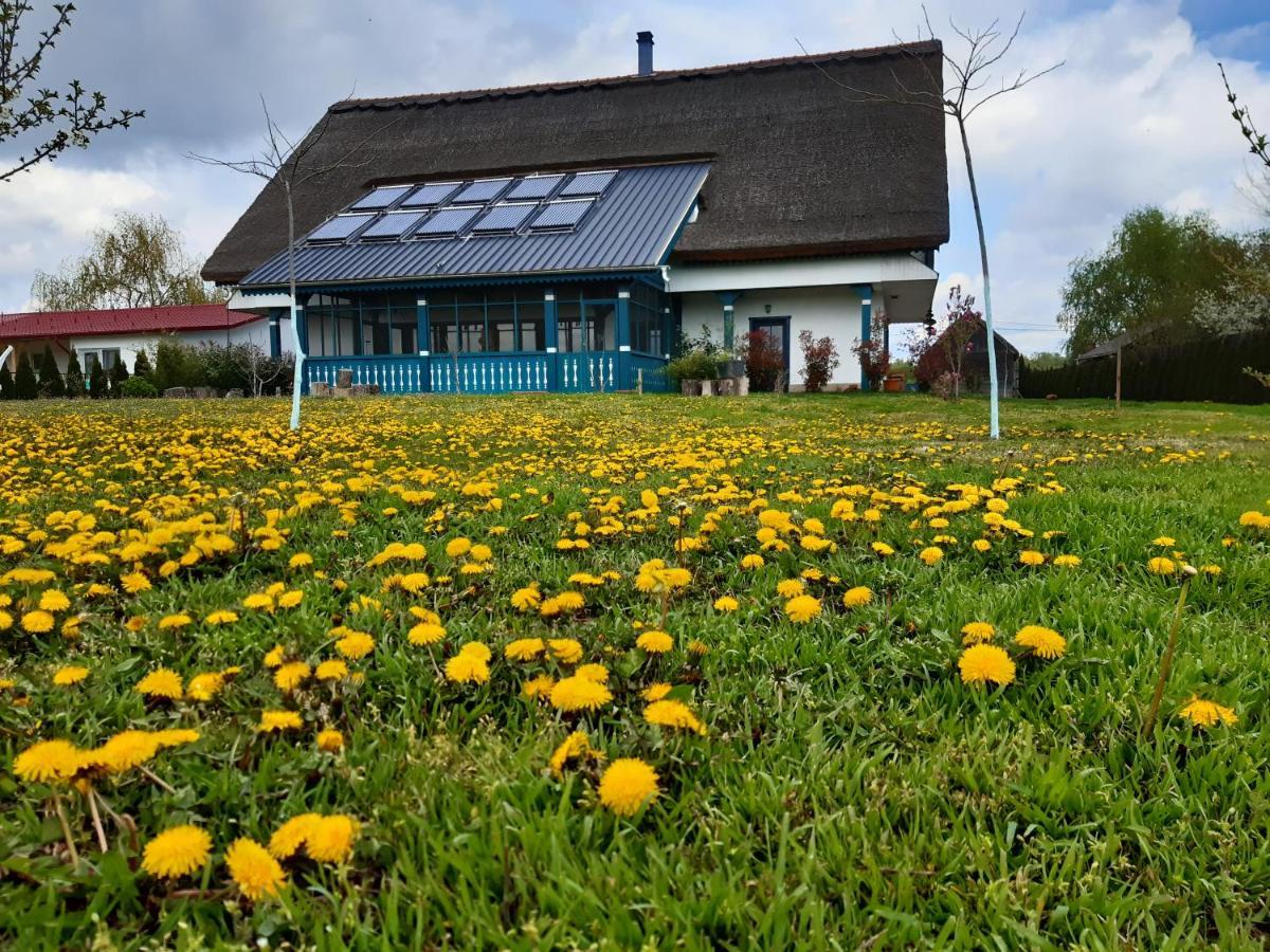 Agropensiunea Beluga Gorgova エクステリア 写真